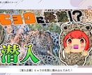 愛らしいSD/ミニキャラ描きます 【ラフ修正無料無制限、商用利用可能！】 イメージ4