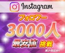 インスタグラムのフォロワー3000人増やします 【30日間減少保証付き】世界中のフォロワーに拡散！ イメージ1
