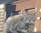 介護のしごとの悩み、お話聴きます ご一緒に介護の働き方についてお話しませんか？ イメージ2