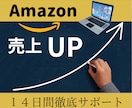 Amazon販売★14日間コンサルします 売れ筋商品を⚪︎⚪︎本見つけるお手伝いをします！！ イメージ1