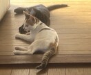 猫の飼い方を教えます 猫を飼って数年今では五匹の猫を飼っています イメージ2