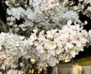 お相手さまのお気持ち、ご状況お伝えします 唯一無二の鑑定を受けてみませんか? イメージ3