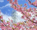 日本語⇆中国語の翻訳をします HSK6級バイリンガルが担当をします！ イメージ1