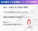 薬機法・医療可。クリニック・サロン系のLP作ります 審査リスクを減らしたい美容系の方など、まずはご相談ください イメージ3