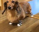 楽しいばかりではない人生❕辛い事もたくさんあります 楽しい時辛い時少しでも話を聞いて貰いたい時٩( ╹▿╹ )۶ イメージ3