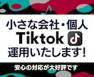 TikTokを1ヶ月間運用代行します SNS実績あるチームが対応します イメージ1