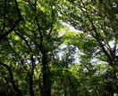 ネガティブな気持ちに寄り添います ネガティブな気持ちにじっくりと向き合い、心も体も健康に♪ イメージ3