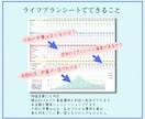 エクセルLite版★ライフプランシート作成します 簡単入力でシュミレーションできる家計のお助けアイテム イメージ6