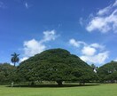 お悩み相談や会社での愚痴を聞きます あなたの色々な話を聞かせて下さい。話したいを形に！ イメージ7