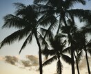 フォトグラファー志望の方を応援してます 最初の一歩！あなたの個性を十分に反映したブックを作ろう！ イメージ1