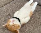 人生相談やカウンセリング、話し相手になります ありのままでいいと思います。私も、あなたも イメージ1