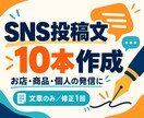 SNS投稿文を10本作成します お店や商品の魅力を、読みやすい投稿文にまとめます イメージ1