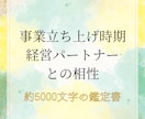 独立・事業立ち上げに向いている時期を占います 経営パートナーとの相性も占います。約5000文字の詳細鑑定 イメージ1