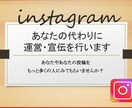 あなたの代わりにインスタグラムを運営・宣伝します アカウントに本物のファンを作ります(いいねやフォロワー増加) イメージ1