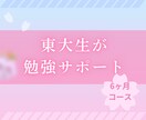 割引の継続プラン！東大が勉強を徹底サポートします 【3ヶ月目以降の継続割引】学習計画を徹底サポート イメージ1