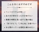 ペット鑑定｜大切なあの子の気持ちを霊視します 虹の橋を渡った愛する家族からのメッセージをお届けします イメージ2