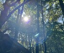心のモヤモヤを一緒に整理します 気持ちのざわつきを私に相談してみませんか？ イメージ1