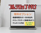 30分未満の動画のフルテロップ挿入承ります 長期のご依頼も大歓迎です！丁寧に仕上げます イメージ5