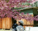 写真のレタッチを行います 雰囲気のある色味にしたり、簡単な人物の削除等を行います!! イメージ5