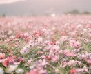 あなたのただ聞いて欲しいを叶えます ぜひあなたの思いを文字にして綴ってみませんか？ イメージ1