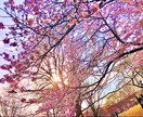 色んな内容の記事かきます "学生"ならではの記事が必要な方へ イメージ1