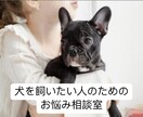 これから犬を飼う人必見！犬を飼う前の相談乗ります あなたにマッチングするわんちゃんのアドバイスをします！ イメージ1