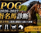 POG2026-27 指名馬選びをお手伝い致します セリ・クラブ馬の能力を生体力学的な観点で分析します。 イメージ1