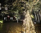 初めて限定【気功】変容のための気功ヒーリングします 受けやすく疲れている方に。エネルギーヴァンパイア対策にも。 イメージ6