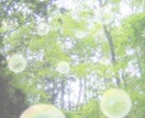 手軽に作れる 浄化スプレーの作り方 伝授します 身近にあるもので 空間に溜まった不要なエネルギーを浄化！ イメージ1