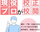現役デスクが校正・編集！スッキリ読みやすくします 現場のプロが要望を聞いて校正！思い通りの文章に編集します！ イメージ1