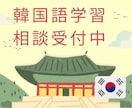 韓国語学習の相談に乗ります TOPIK6級・韓国４年制大学でAI専攻 イメージ1