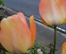 英会話…楽しく学べます Making the utmost イメージ6