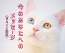 あなたへメッセージをおみくじ形式でお届けします お守りメッセージと６項目をおみくじ形式で。 イメージ1