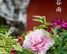 低値段+高品質✺中国語ネイティブ、日中翻訳します 中国語ネイティブ、日本六年住む、日本語⇔中国語翻訳実績多い イメージ1