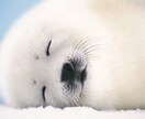 気軽にお話ししてくれませんか？ぜひお聞きします 社会の荒波に揉まれた大手航空会社勤めが全てを受け止めます イメージ3