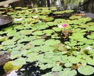 貴方の心の悩み、恋愛の悩み、お聞きします 波乱万丈な人生相談なら任して下さい。人は千差万別なものです。 イメージ1
