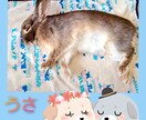 好きな画像(キャラやペット)の画像加工をします 好きな画像を加工して、待ち受けやアイコン、ヘッダー等に イメージ4