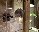 DIY オリジナル家具の作製します 手作り家具をお手頃な金額で承ります！ イメージ4