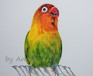 5色で描く色鉛筆画の描き方を教えます 現役アーティストが教える色鉛筆画の体験レッスンです。 イメージ1