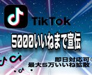 Tiktokいいね数〜5万いいねいくまで宣伝します 5000＋から！即日対応可！◎ イメージ1