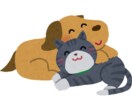 リピーター様のページ♡お待ちしてます こちらはリピーター様のページです(^^) イメージ1