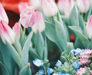 現役看護師があなたの夢を応援します チャットで対応！夢や目標達成に向けて密着サポート！ イメージ3