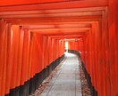 御狐様と共にオラクルカードであなたをサポートします ヒーラーとしてあなたの悩みに寄り添います☺️ イメージ2