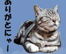 ペットのオリジナルLINEスタンプ製作いたします 可愛いペットのLINEスタンプが欲しいあなたへ イメージ1