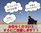 更新簡単！格安＆高品質なホームページを作成します 最短即日！強SEO＆簡単に更新できるWordPressで制作 イメージ7