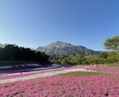 お二人の思い出を撮影します 旅行や観光山行などに同行し、写真撮影をいたします。 イメージ2