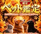 龍神の依り代となりペット様の魂の声を降ろします 白龍神の依り代霊視でペット様の声を届け、愛の龍脈を癒します イメージ1