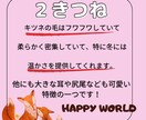 動物好き必見！！のデザインを提供致します 動物の特徴や習性を短く簡潔にまとめました イメージ4