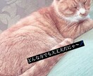 あなたのご相談、お悩み僕も一緒に考えます 秘密厳守！老若男女どなたでも！あなたの心の拠り所に！ イメージ2