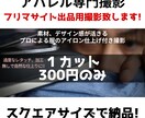 アパレル専門！スクエアサイズの撮影を行います アパレル専門のアイロンがけを行い、商品の魅力を最大限に！ イメージ1